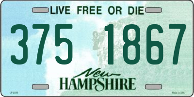NH license plate 3751867