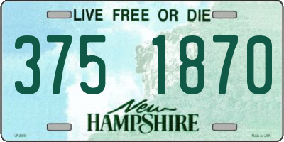 NH license plate 3751870
