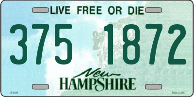 NH license plate 3751872