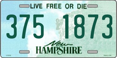 NH license plate 3751873