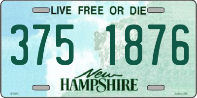NH license plate 3751876