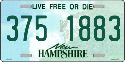 NH license plate 3751883