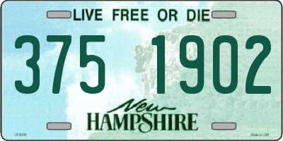 NH license plate 3751902