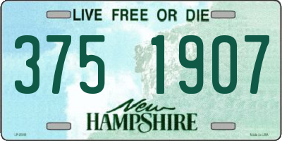 NH license plate 3751907