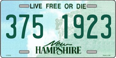 NH license plate 3751923