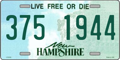 NH license plate 3751944