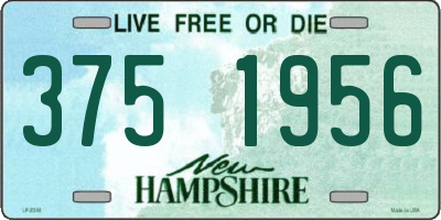 NH license plate 3751956