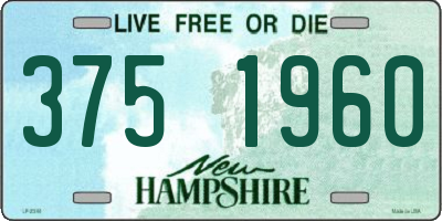 NH license plate 3751960