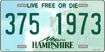 NH license plate 3751973