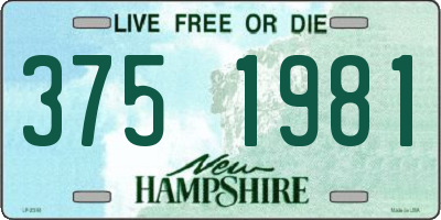 NH license plate 3751981