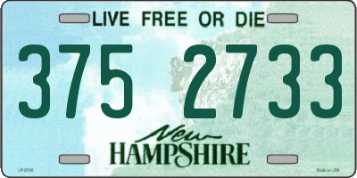 NH license plate 3752733