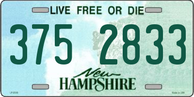 NH license plate 3752833