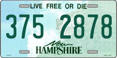 NH license plate 3752878