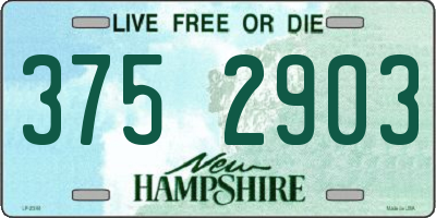 NH license plate 3752903