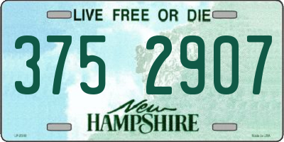 NH license plate 3752907