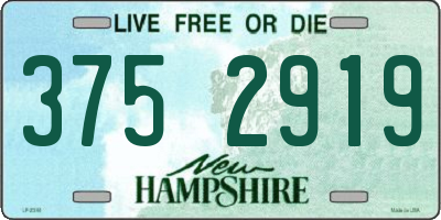NH license plate 3752919