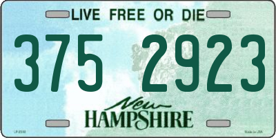 NH license plate 3752923