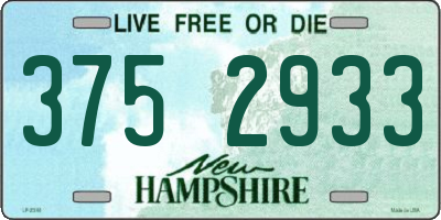 NH license plate 3752933