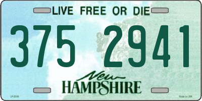 NH license plate 3752941