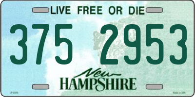 NH license plate 3752953