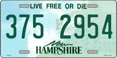 NH license plate 3752954