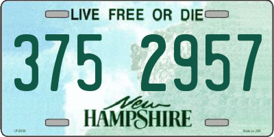 NH license plate 3752957