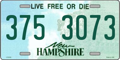 NH license plate 3753073