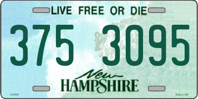 NH license plate 3753095