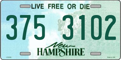 NH license plate 3753102