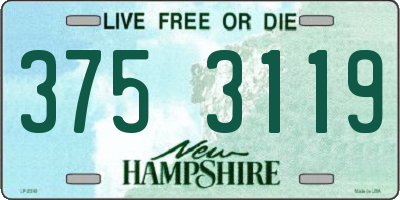 NH license plate 3753119