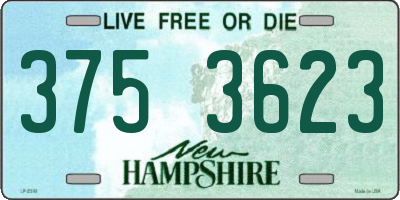 NH license plate 3753623