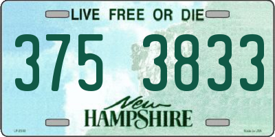 NH license plate 3753833