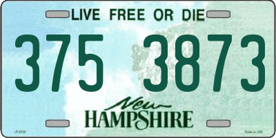 NH license plate 3753873
