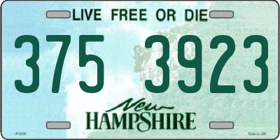 NH license plate 3753923