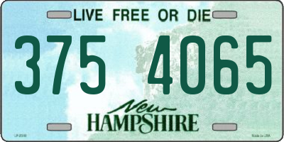 NH license plate 3754065