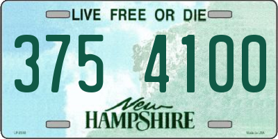 NH license plate 3754100