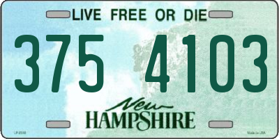 NH license plate 3754103