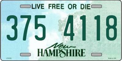 NH license plate 3754118