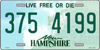 NH license plate 3754199