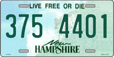 NH license plate 3754401