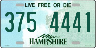 NH license plate 3754441