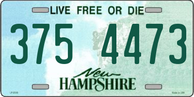 NH license plate 3754473