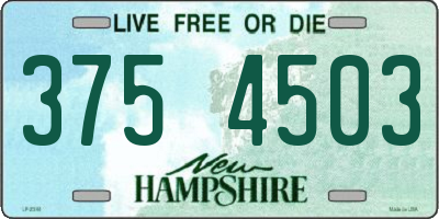 NH license plate 3754503