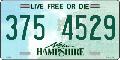 NH license plate 3754529