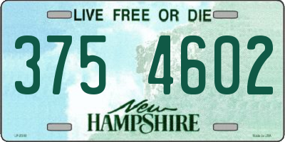 NH license plate 3754602