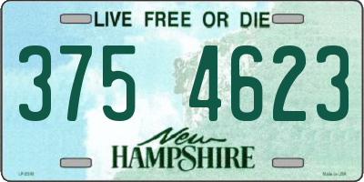 NH license plate 3754623