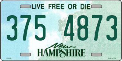 NH license plate 3754873