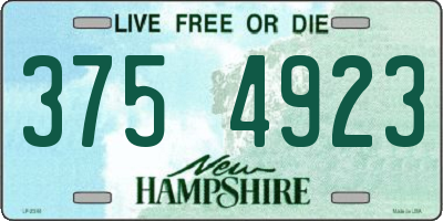NH license plate 3754923