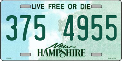 NH license plate 3754955