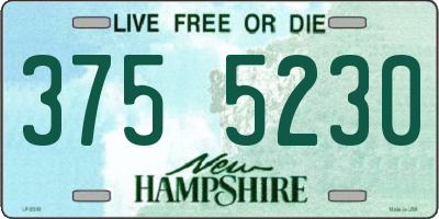NH license plate 3755230